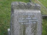 image of grave number 50877